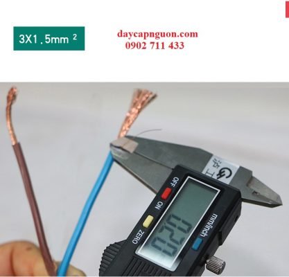 TB2TvLeyY1YBuNjSszhXXcUsFXa 3233278793